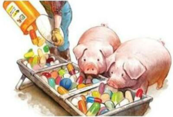 1611222109100285.jpg 044211936666.jpg